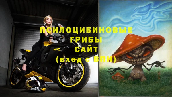 гидропоника Покровск