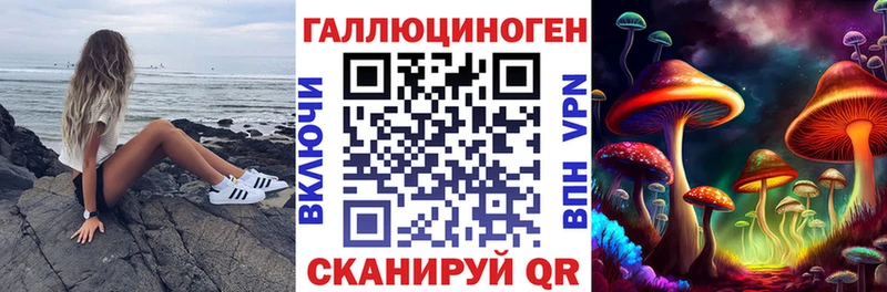 Псилоцибиновые грибы MAGIC MUSHROOMS  kraken ONION  Щёлково  сколько стоит 